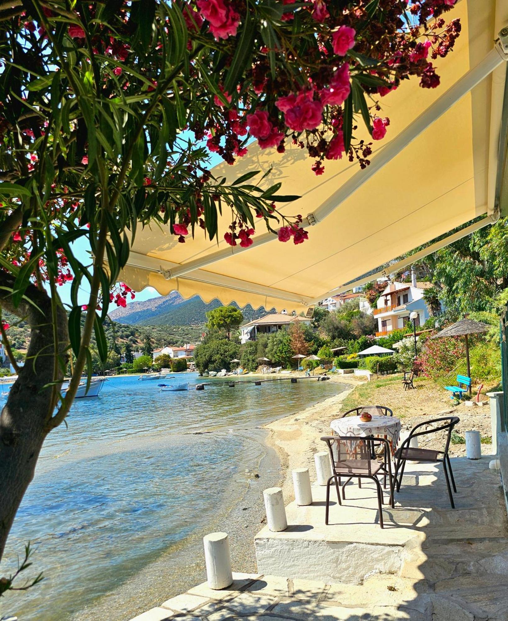 Polianthi Seaside House Villa Marathos  Dış mekan fotoğraf